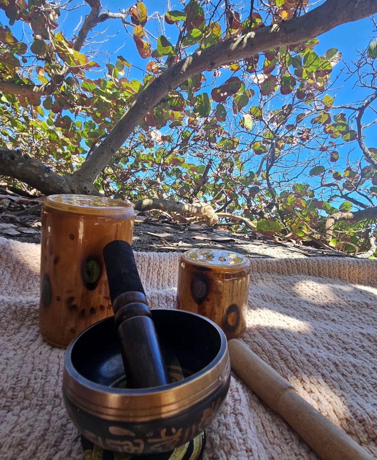 Meditative Tibetan singing bowl setup outdoors under a tree.