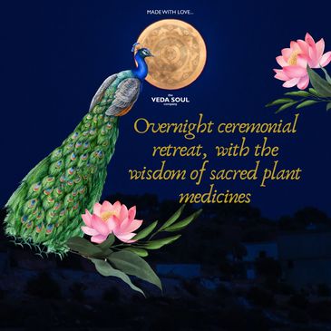 Peacock and lotus flowers with a spiritual retreat message under the moonlight.