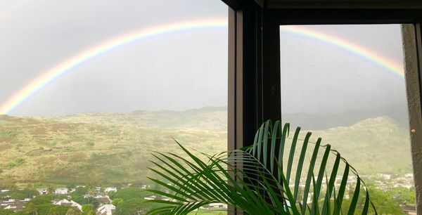 Rainbow - Honolulu