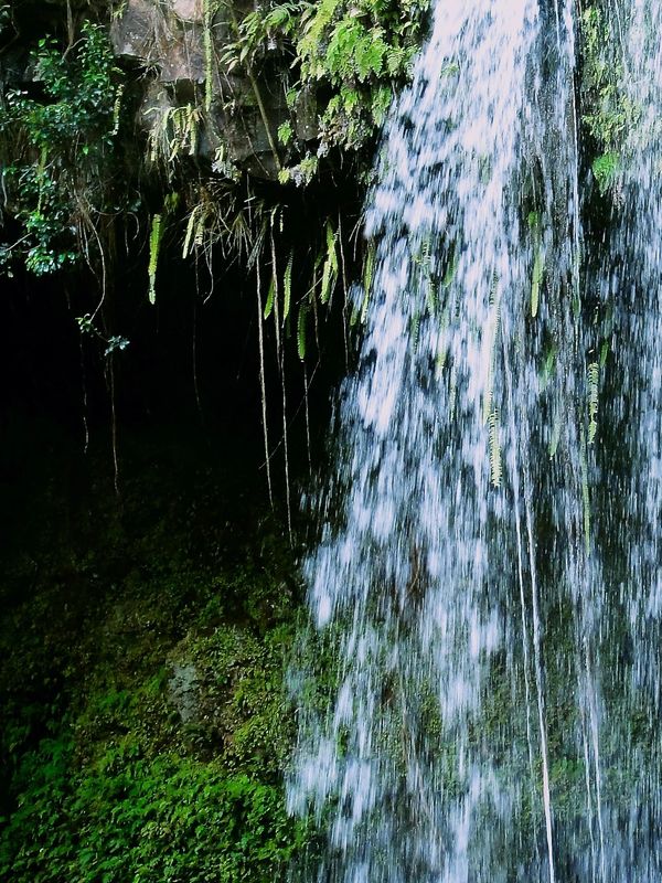 Maui waterfall on the road to Hana