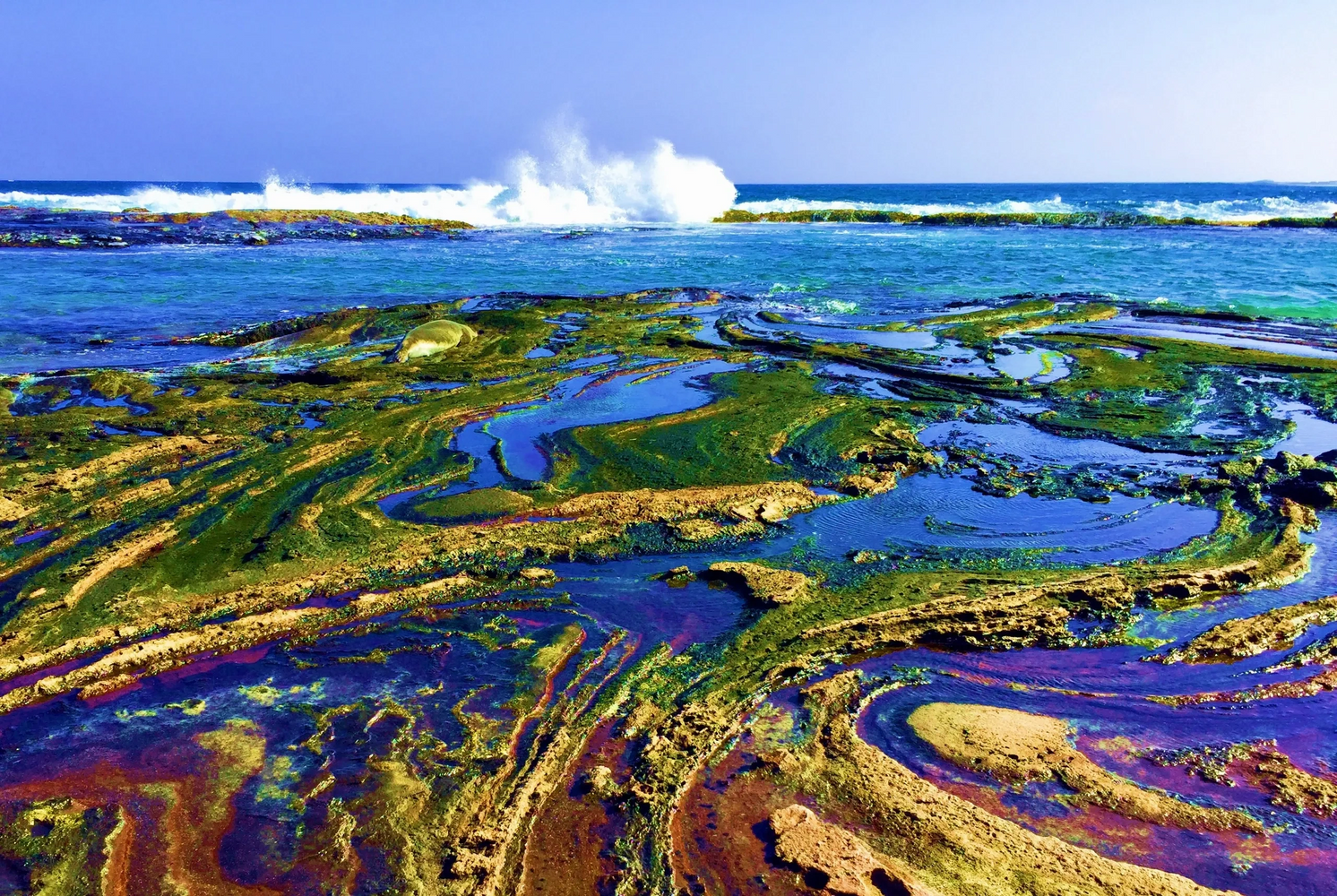 Niihau Shoreline captured by Dineh
