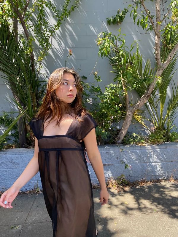Sheer Black Dress