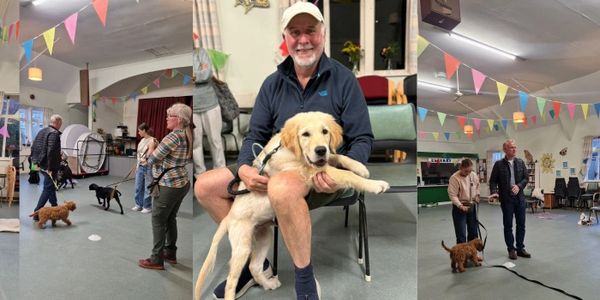 a montage of pictures of dog owners and puppies at a puppy training class