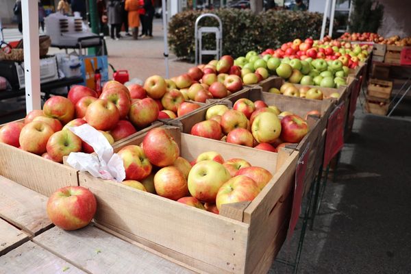 FRESHFARM MARKET at Veterans Plaza at One Veterans Place in Silver Spring MD on Saturday, 21 Februar