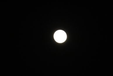 FULL WOLF MOON from 900 block of Bonifant Street in Silver Spring MD on Tuesday, 18 January 2022