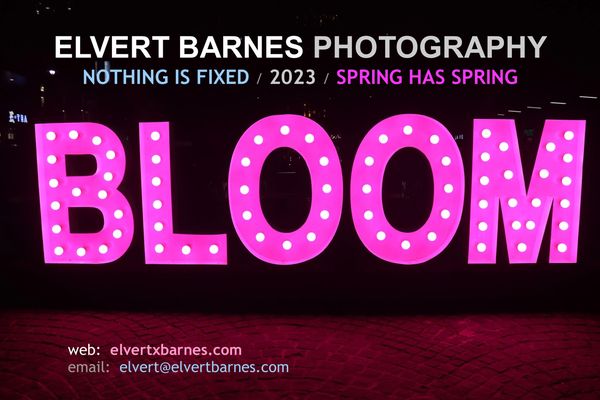 NOTHING IS FIXED 2023
SPRING HAS SPRING

ELVERT BANRES PHOTOGRAPHY
elvertxbarnes.com