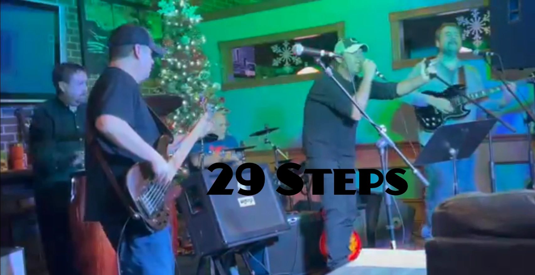 29 Steps