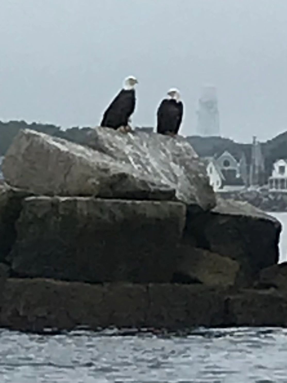 Eagle's Rock Tackle