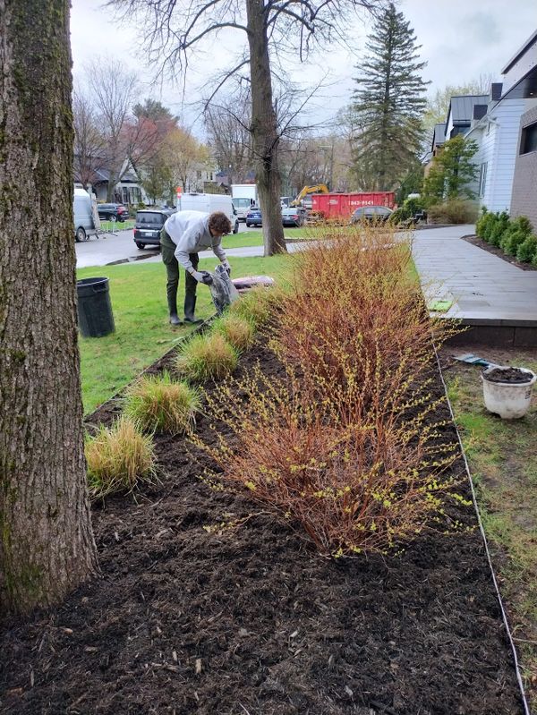 Homme qui travail dans une plate-bande