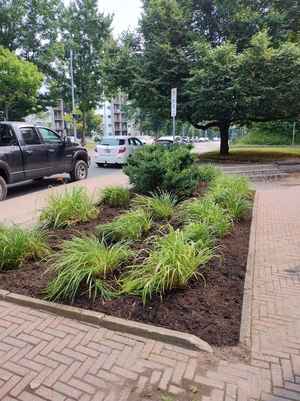 Plate-bande dans un espace commercial