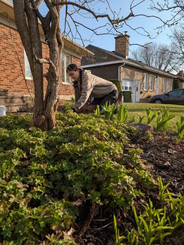 Person gardening in a sunny backyard with green plants and brick houses.