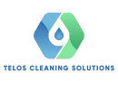 merit cleaning solutions