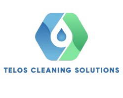 merit cleaning solutions