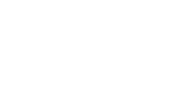 Wagefix