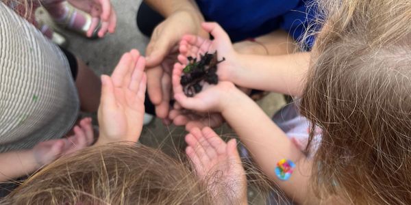 Adrianna The Garden Fairy in her element with the children exploring their worm farm. 