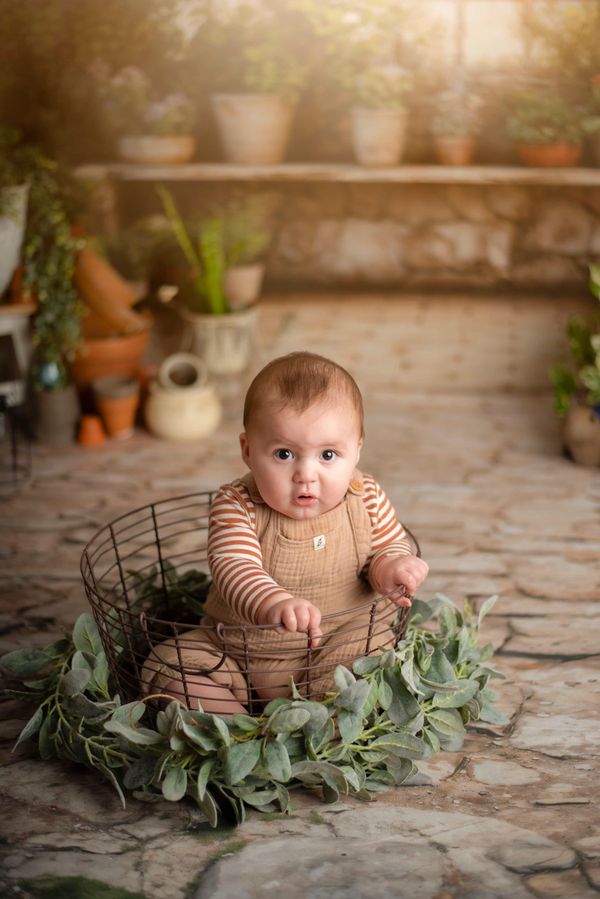 LeGalley Photography Easter Mini's Traverse city, Manistee, Green house Studio portrait Photographer