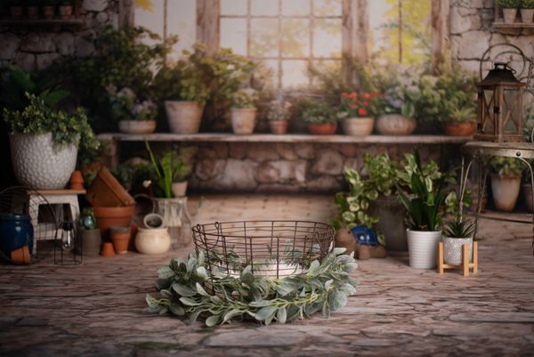 LeGalley Photography Easter Mini's Traverse city, Manistee, Green house Studio portrait Photographer