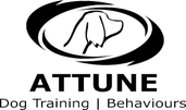 Attune Dog Training