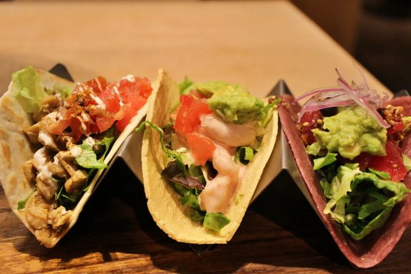 Y Taco Bar LLC