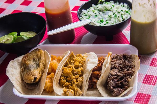 Y Taco Bar LLC