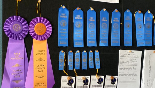 Clark County Fair award ribbons and certificates.