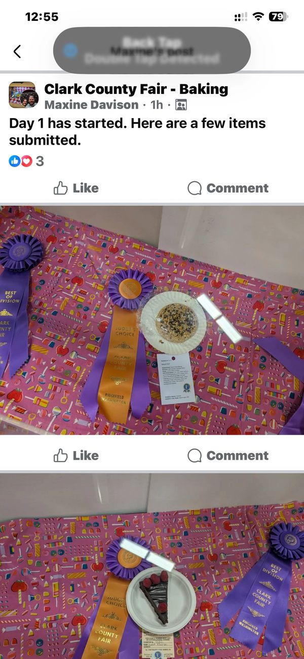 Baked goods with ribbons from Clark County Fair.