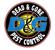 Dead & Gone PC by TMH                                            