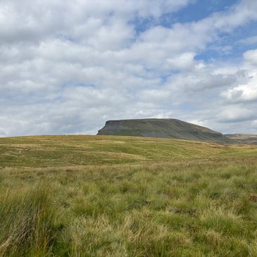 A grassy plain with a flat-topped hill under a cloudy sky.