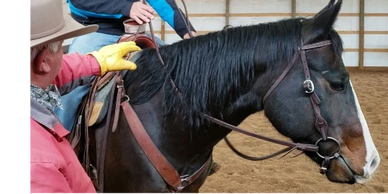 Riding in a horsemanship workshop with Vaughn Knudsen. Take your horse riding skills to the next lev