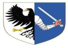 A split shield with a black eagle and an armored arm.