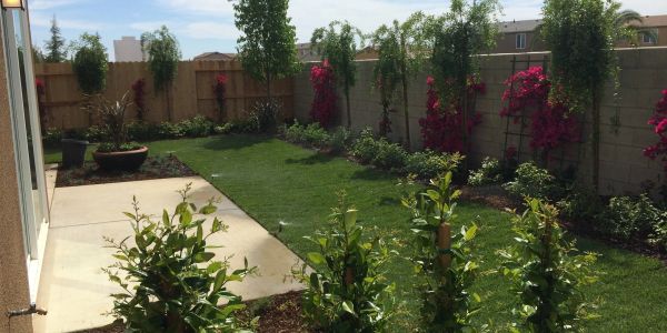 Backyard garden with green lawn and flowering plants.