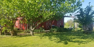 Aunt Sue's Barn  path to the greenhouse