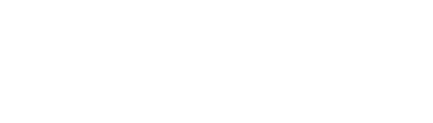 GRUPO REYMISA
