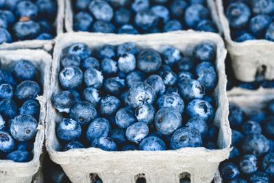 Fresh picked bluebrries.