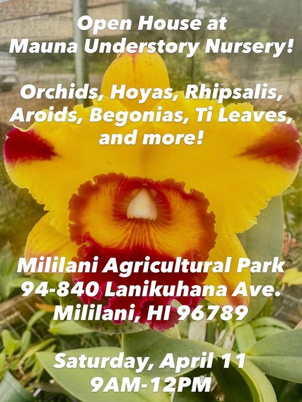 Open house at Mauna Understory Nursery featuring orchids and more in Mililani, HI.