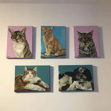 Painted portraits of three cats and two dogs on wall canvases.