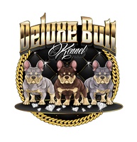 Deluxe Bull Kennel