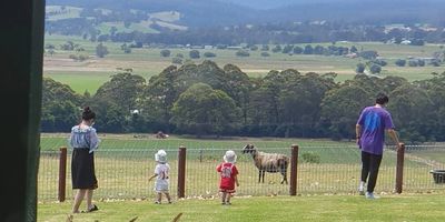 Rainforest and nature retreat in East Gippsland 