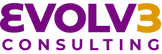 EVOLV3 CONSULTING LLC