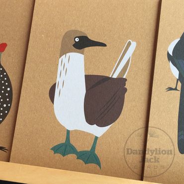 Blue-footed booby greeting card