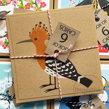 Box of six greeting cards – 6 x different bird designs
