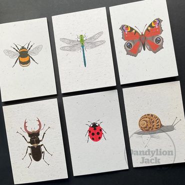 A selection of insect mini greeting cards