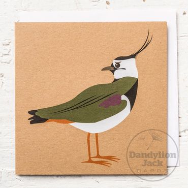 Lapwing greeting card