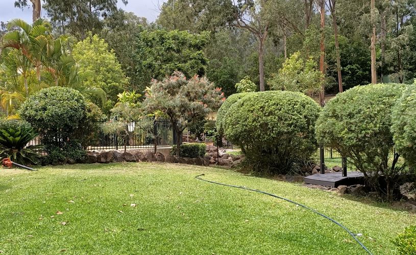 Native garden.