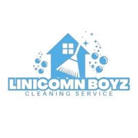 LinicomnBoyz Cleaning Services