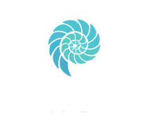 Blue Shell Productions