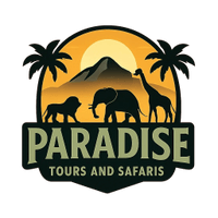 Paradise Tours and Safaris