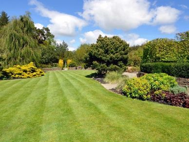 Garden very well kept with nice plants and trees. 