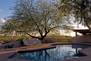 A serene poolside area with a large tree and lounge chairs.