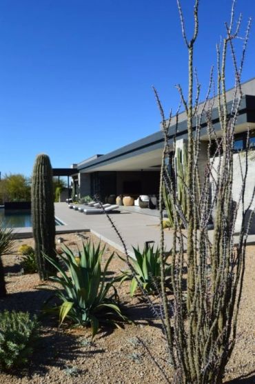 Modern desert home with cacti and clear blue sky.